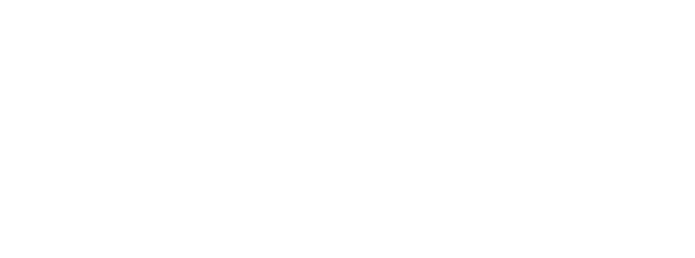 Domiblocks Logo Footer